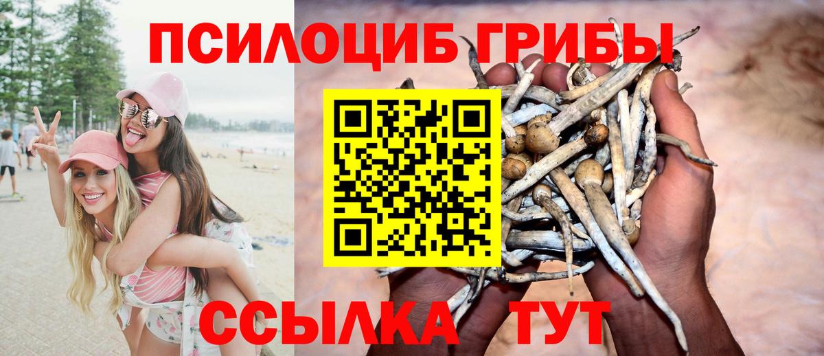 Галлюциногенные грибы ЛСД Ирбит
