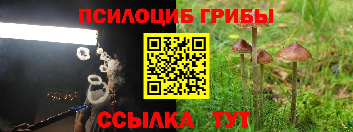 где можно купить наркотик  Вход с VPN  Ирбит  Галлюциногенные грибы Magic Shrooms  Галлюциногенные грибы мицелий 